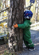 Huomattavan suuren puun kylkeen voi sijoittaa rastin.