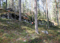 Aikarasti 2 liput E ja F