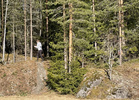 Yleisörasti