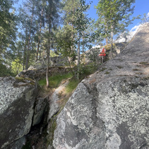 PreO rasti 27. Kuva EJ