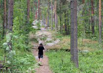 Lohkare kasvoi kiveksi.