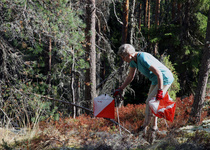 Rasti 25, makutuomarin viimeistelysäätö. Kuva EJ