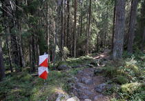 Rasti 24, taustalla häämöttää Muuramen raja