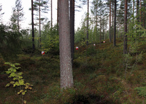 Rasti 14 notkon suunnassa