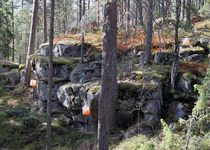 Rasti 28