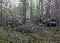 Rasti 20