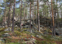 Rasti 6