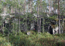 Rasti 8