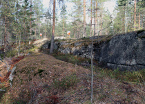 Rasti 12 takaa
