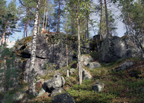 Rasti 3
