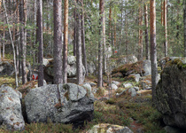 Rastit 10-11